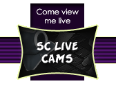 sclivecams.gif (9392 bytes)
