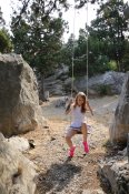 Photo Issue 447