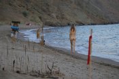Photo Issue 475